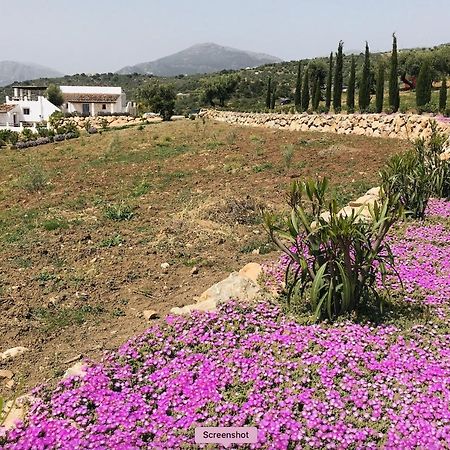 Finca Zayas Casa Rural & Guest Suites 佩里那 外观 照片