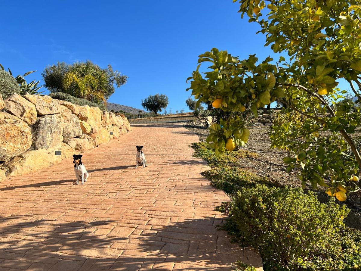 Finca Zayas Casa Rural & Guest Suites 佩里那 外观 照片
